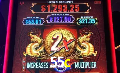 Apostas Esportivas na 55c: Um Guia Completo